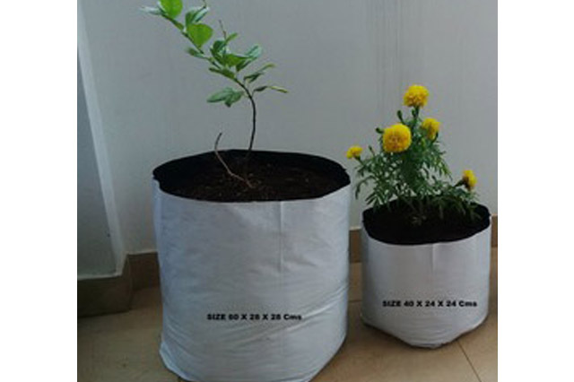 Grow Bag